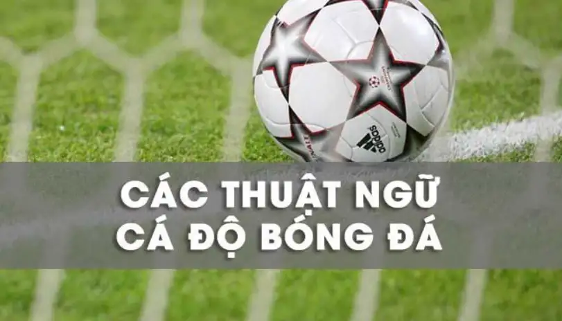 Các thuật ngữ cá cược bóng đá mới nhất năm 2024