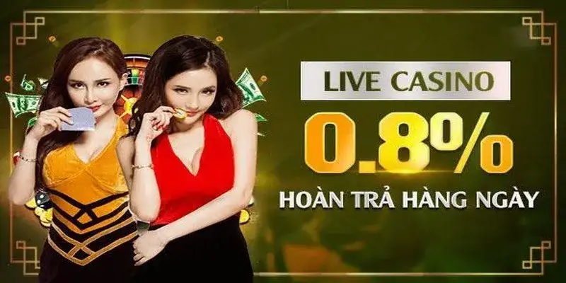Khuyến Mãi Vip79 – Phần Thưởng Lớn Cho Người Chơi Cá Cược 
