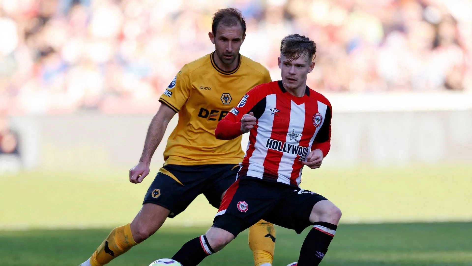 Hậu vệ Craig Dawson trong màu áo Wolves đối đầu Brentford