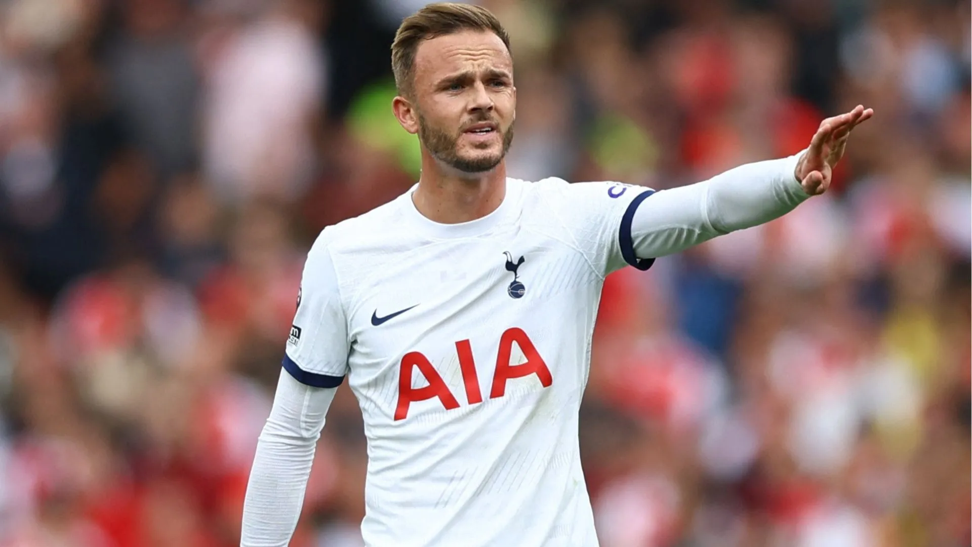 James Maddison trong màu áo Tottenham Hotspur