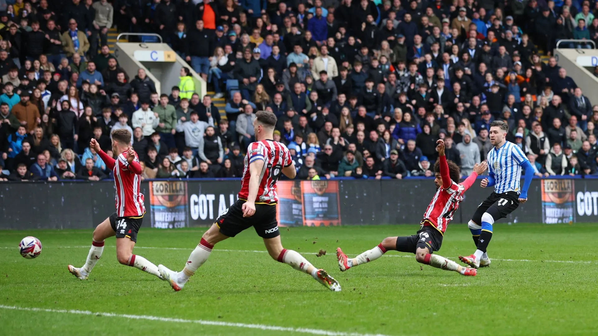 Josh Windass ăn mừng bàn thắng cho Sheffield Wednesday trong một trận derby quan trọng.